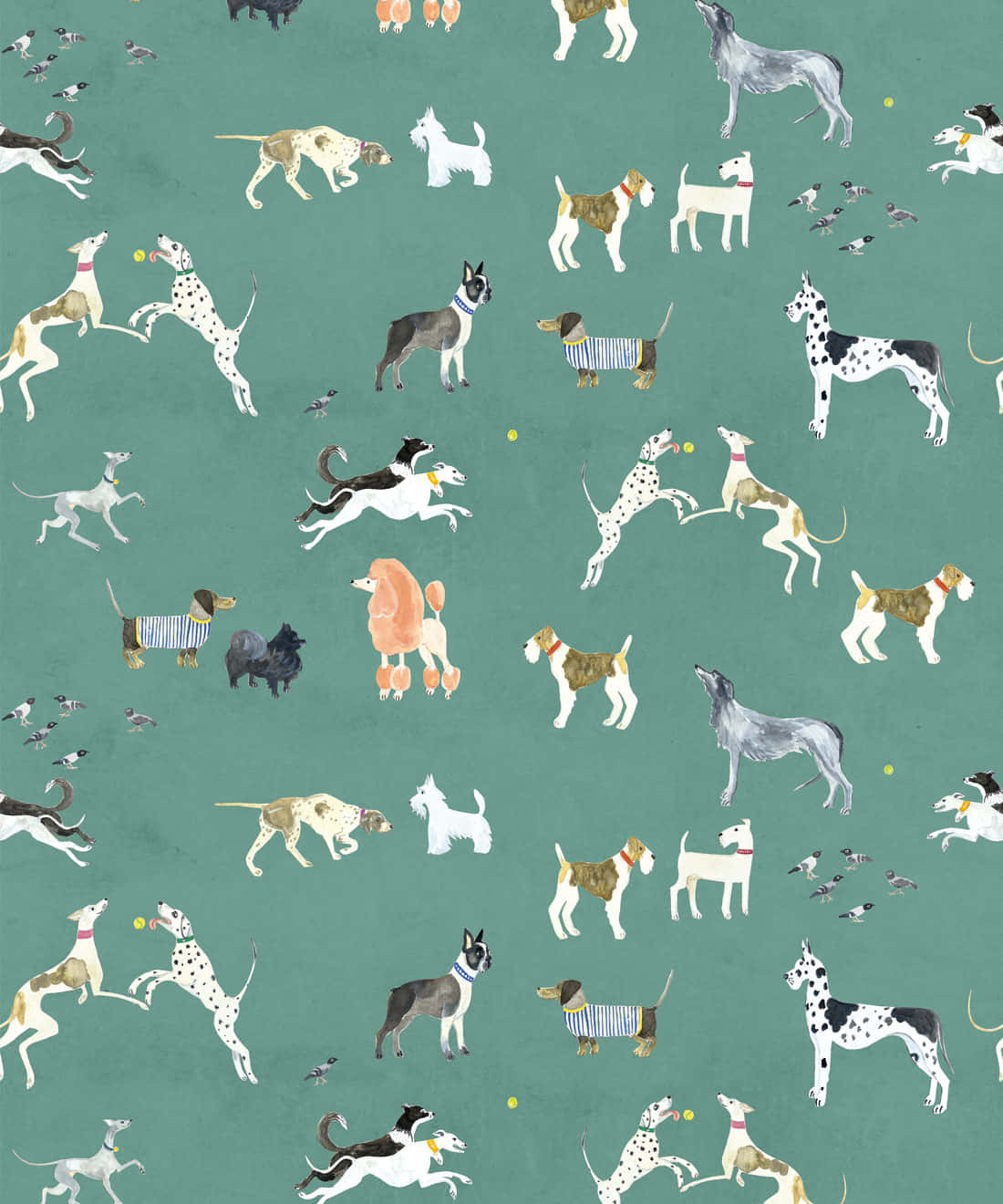 Aesthetic Dogs Wallpaper
