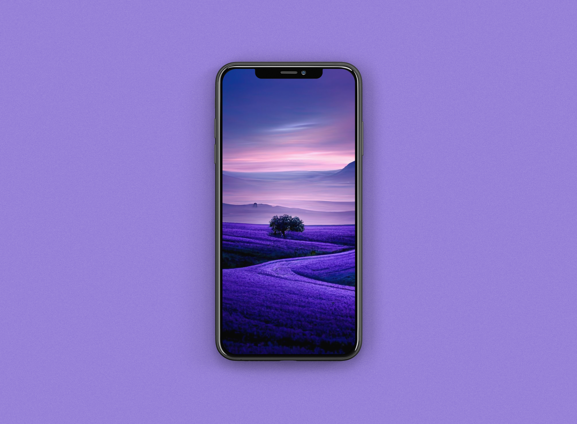 Iphone 14 wallpaper. Iphone 14 Pro Purple. Iphone 14 Deep Purple. Iphone 14 Pro Max Deep Purple.