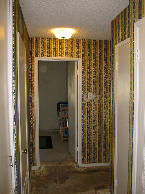 Free download should Heidi paint her hallway Shes keeping some flocked