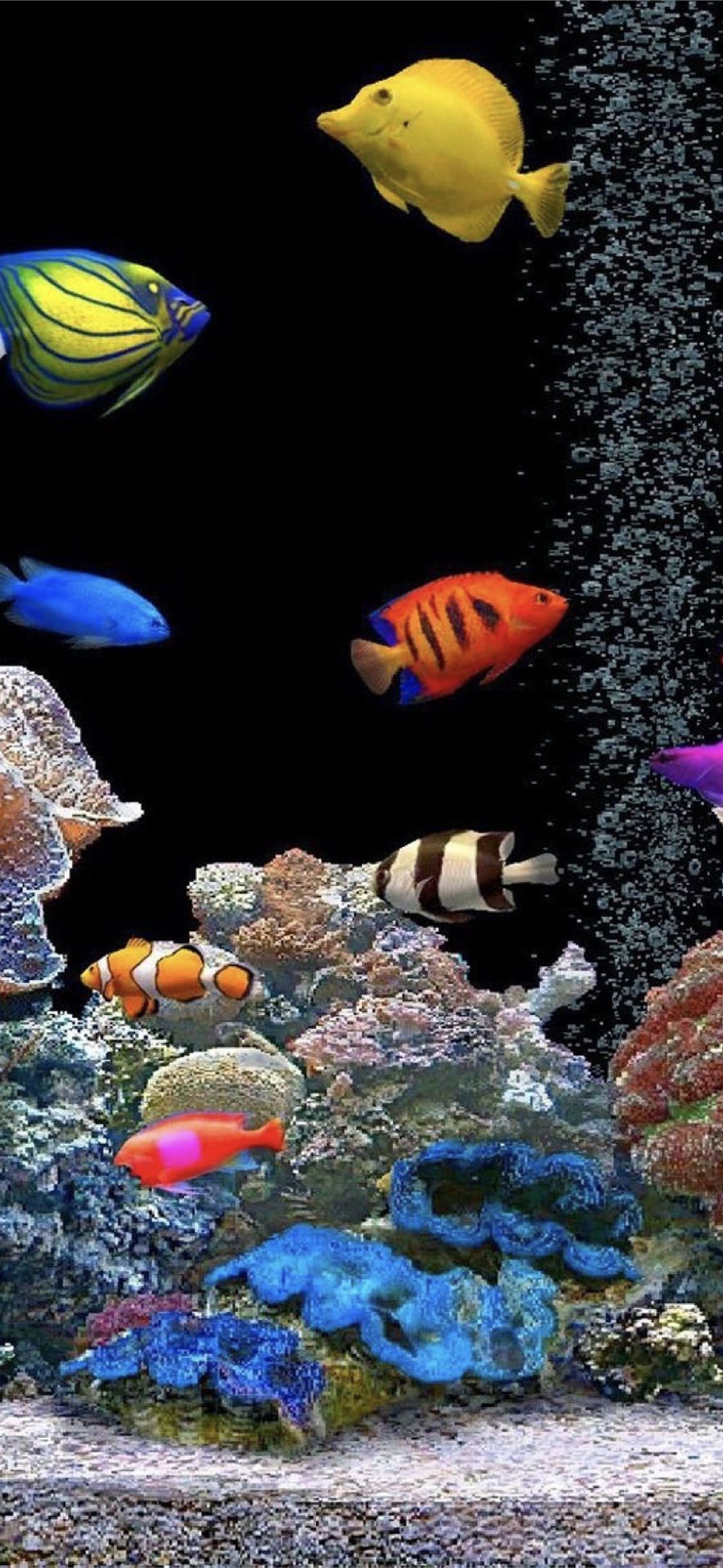 Aquarium Tank Colorful Parallax Trends iPhone11wallpaper