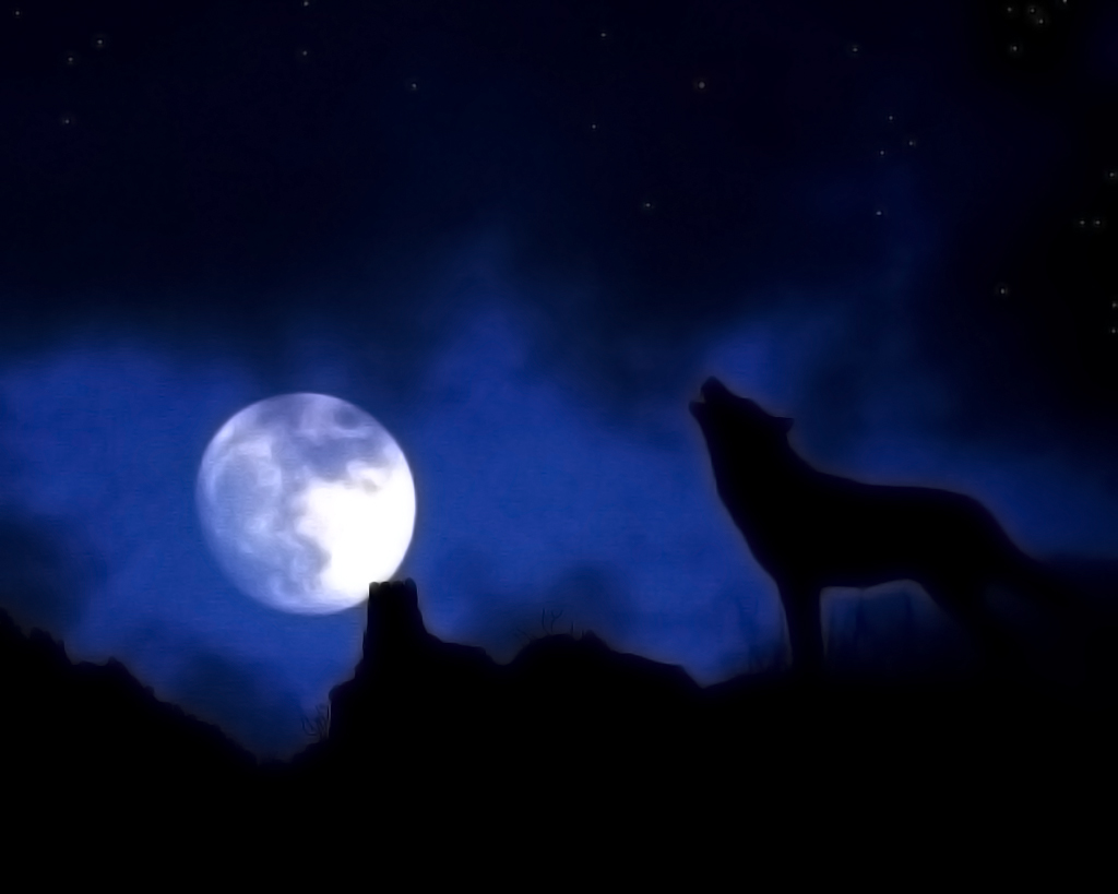 Wolf moon night nature
