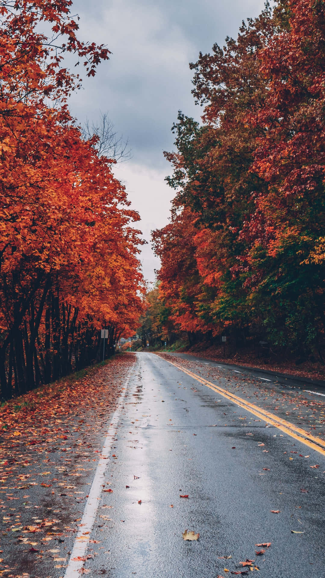 Fall Wallpaper
