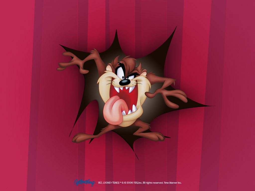 Looney Tunes Image Taz Wallpaper HD And Background Photos