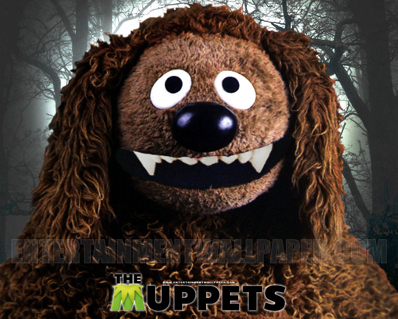More The Muppets Wallpaper On Prev Next