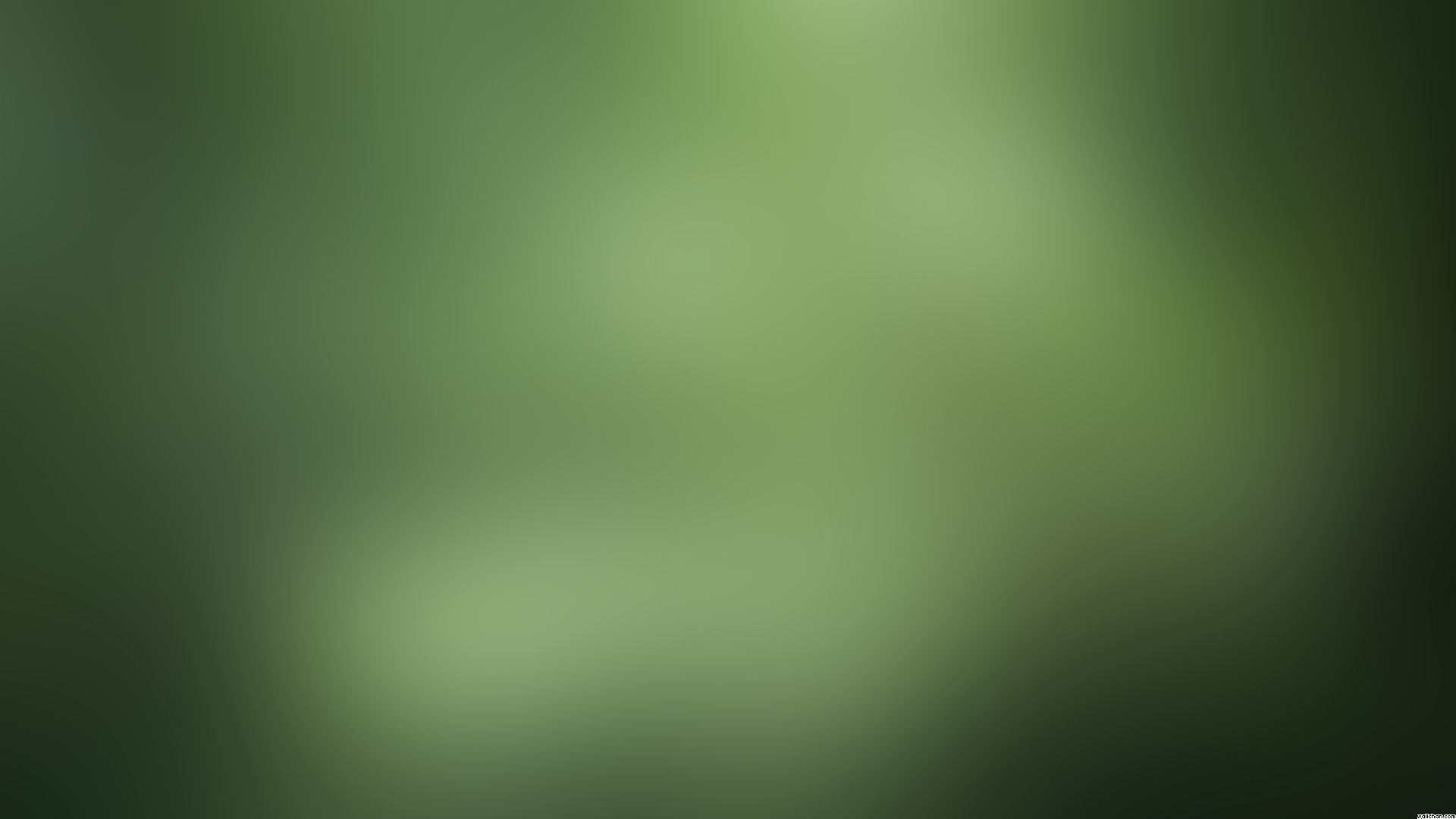 Green Gray Wallpaper - WallpaperSafari