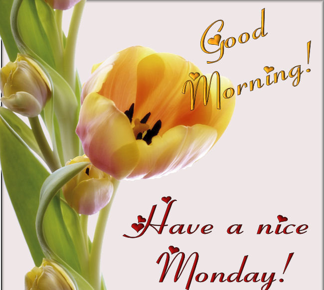 Showing Gallery For Happy Monday Good Morning Image