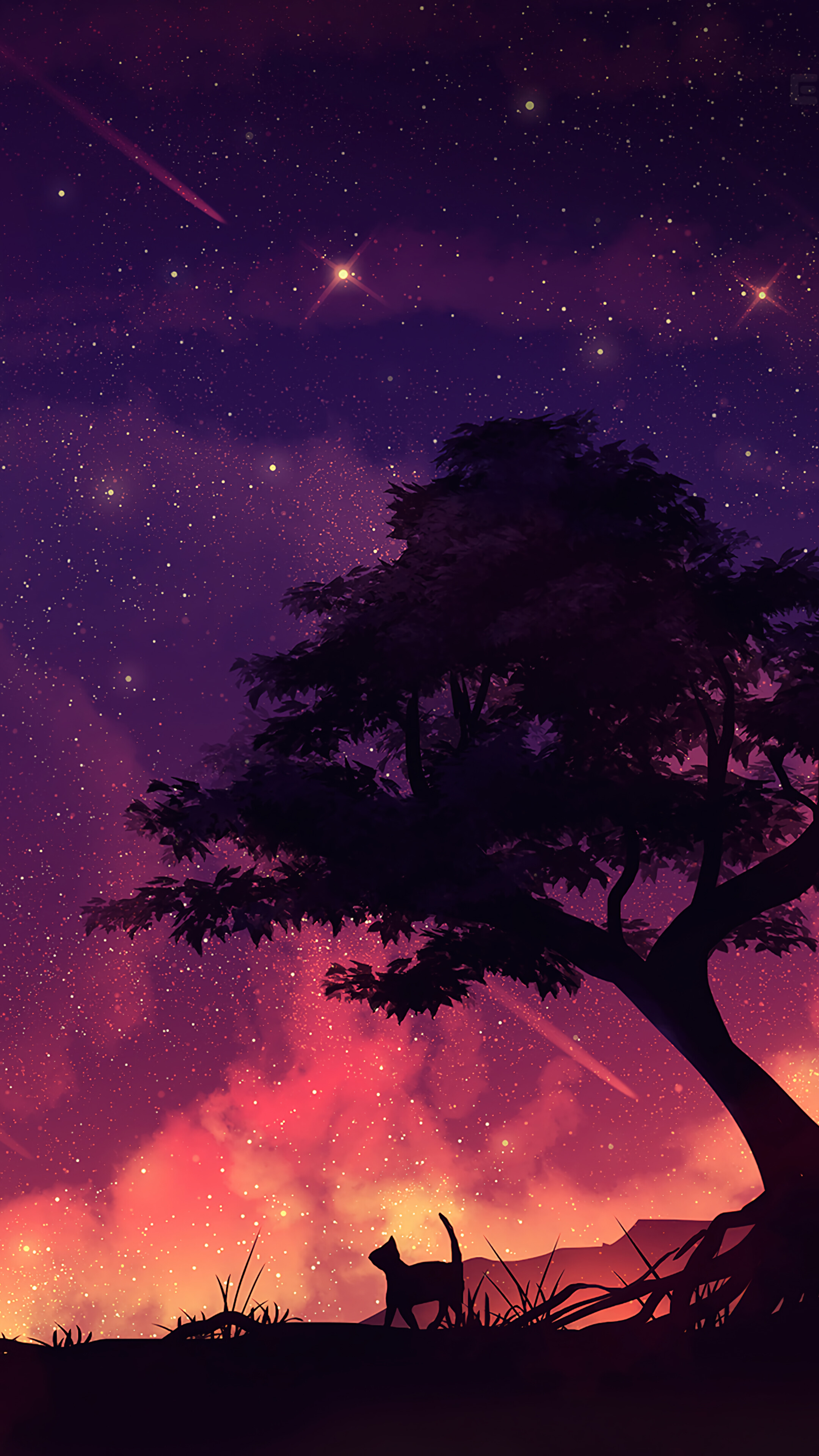 Night Sky Moon Tree Scenery Cat Silhouette Wallpaper 4k HD Pc 9340f