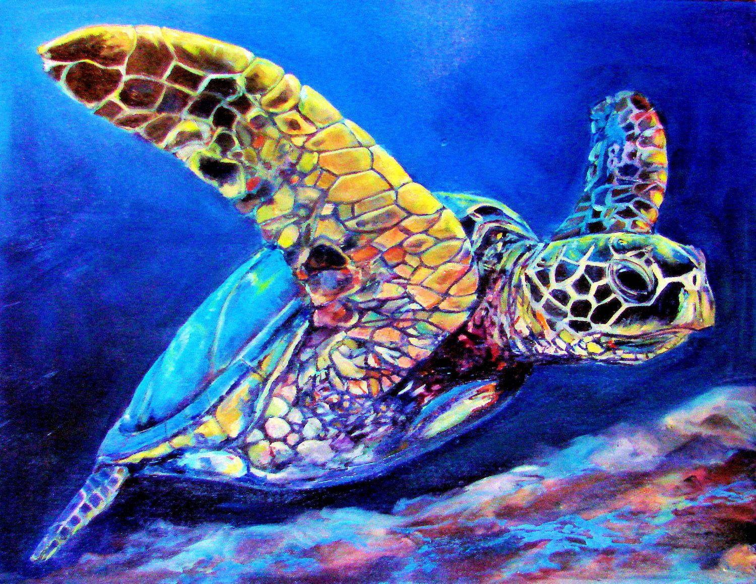 Top Cool Turtle Wallpaper Full HD 4k To Use