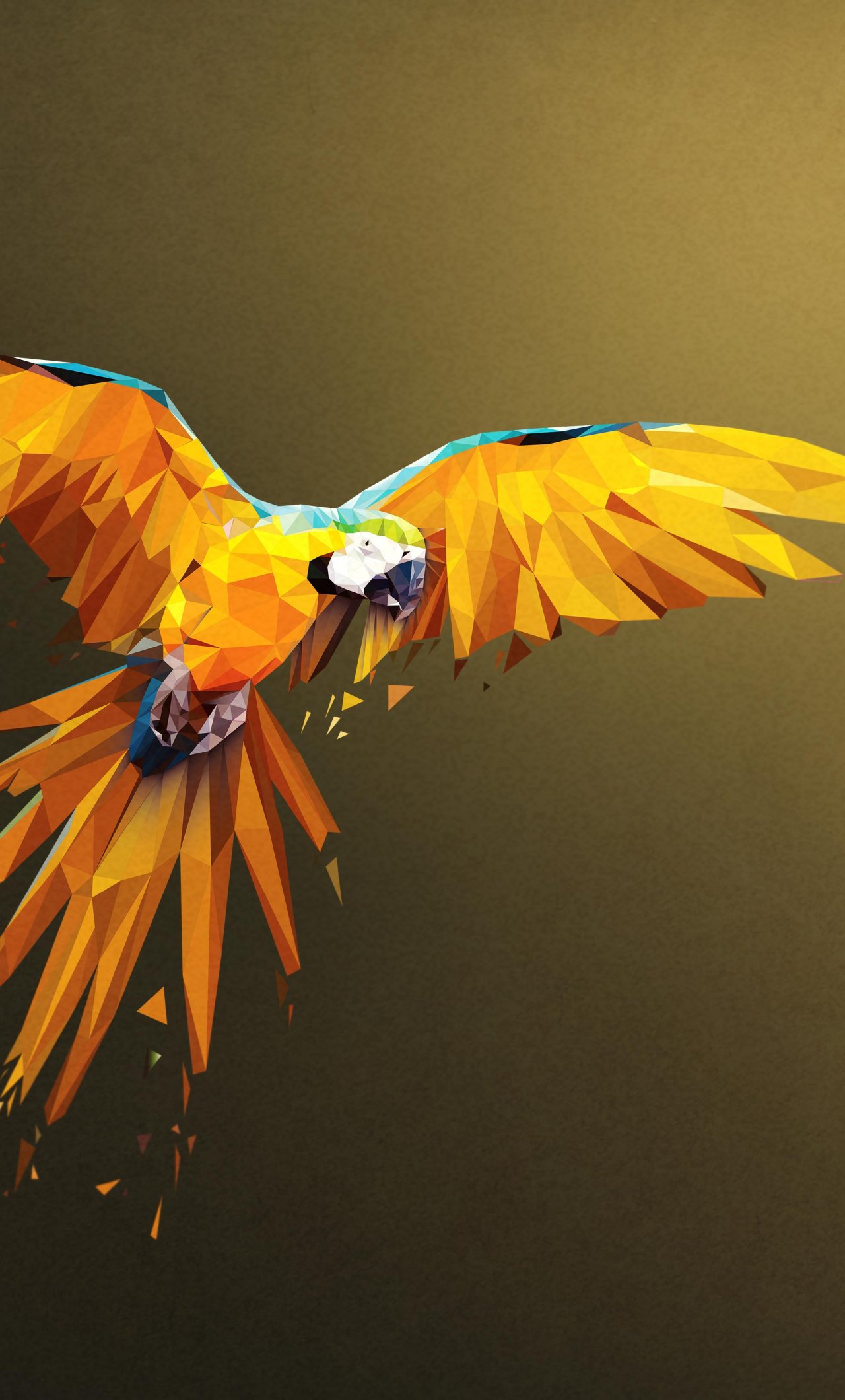 Download Macaw flight low poly art wallpaper 1280x2120 iPhone