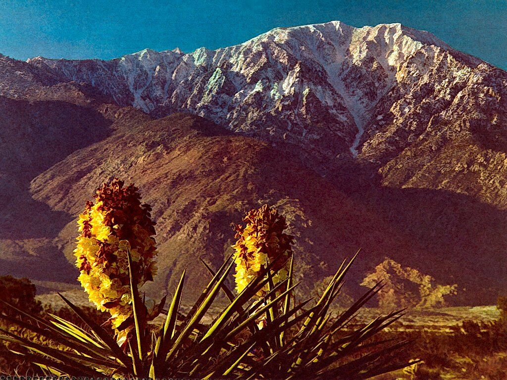 Mt San Jacinto Southern California Nature Wallpaper Image featuring