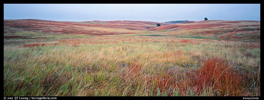  Prairie grasses on cloudy autumn morning Wind Cave National Park 926x352