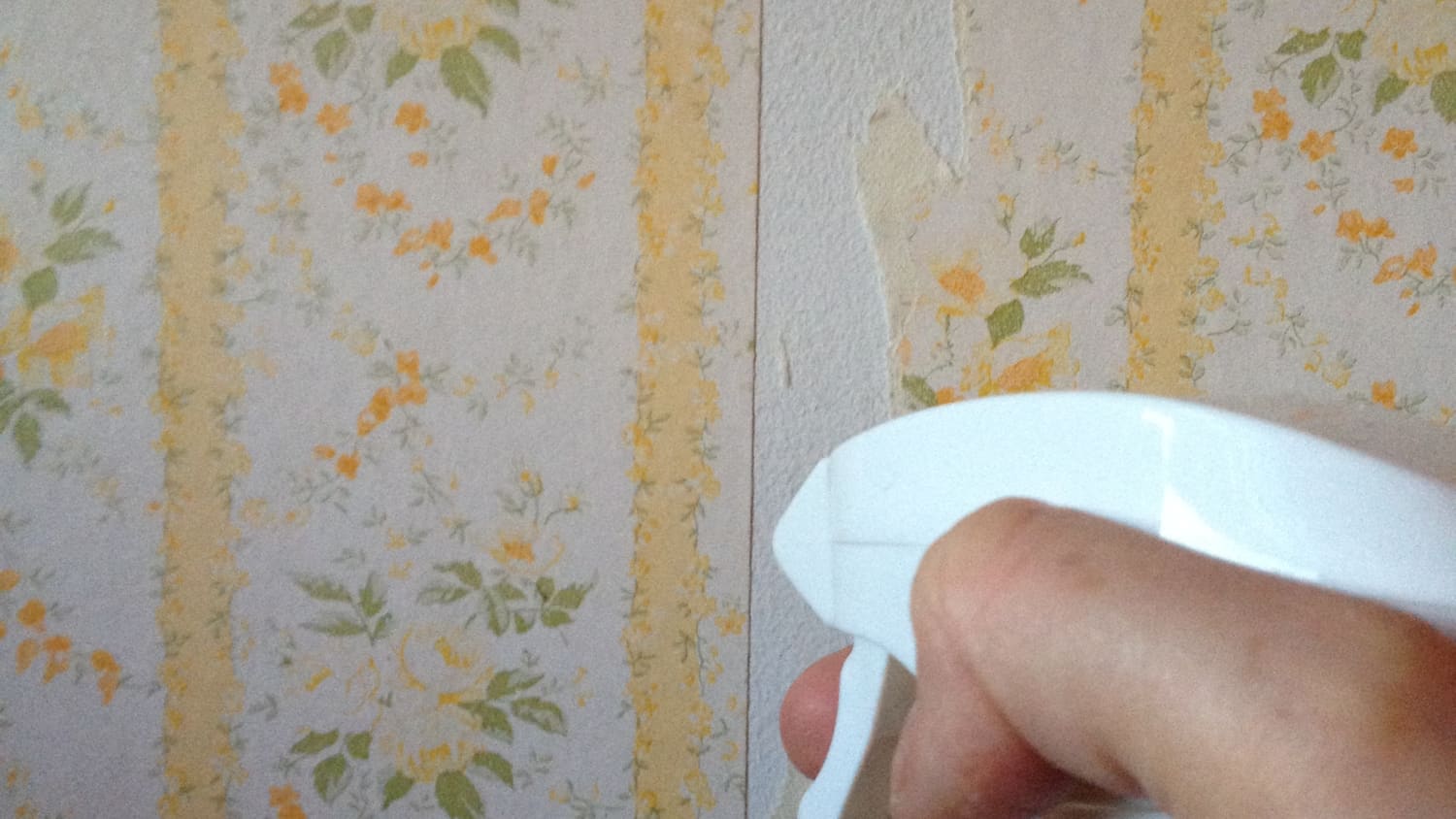 Free download Easy All Natural Wallpaper Removal Tip Use Vinegar and