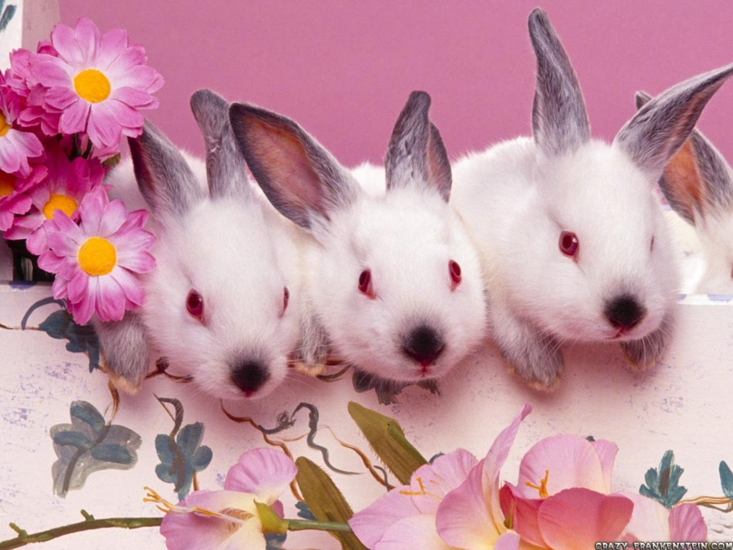 Pixel Desktop Wallpaper Cute Bunnies Easter