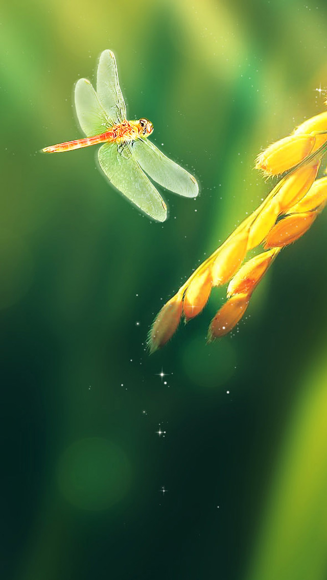 Dragonfly And Rice Closeup iPhone Wallpaper HD