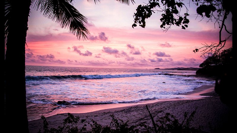 Pink Beach Image Wallpaper