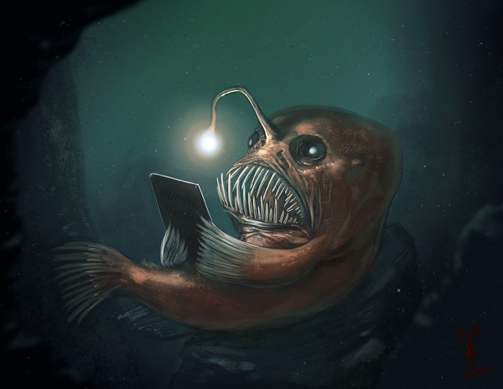 Full HD Pictures Angler Fish Kb