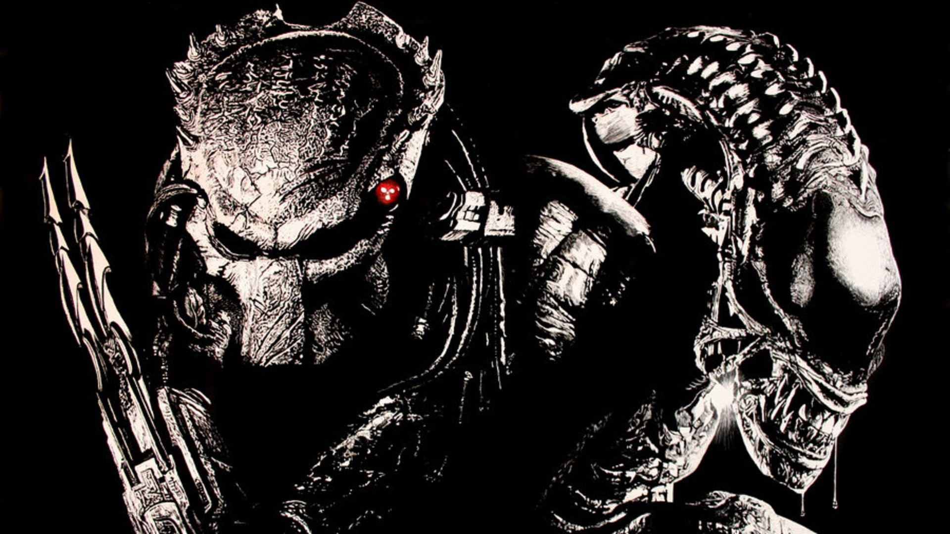 Wallpaperbq Alien Vs Predator Wallpaper