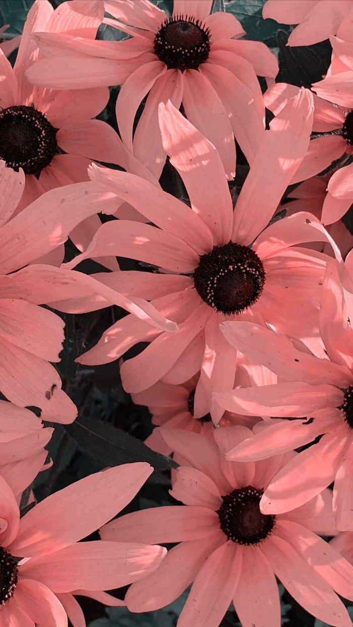 Blossoom Pink On Be Sure To Wear Flowers In Ur Head