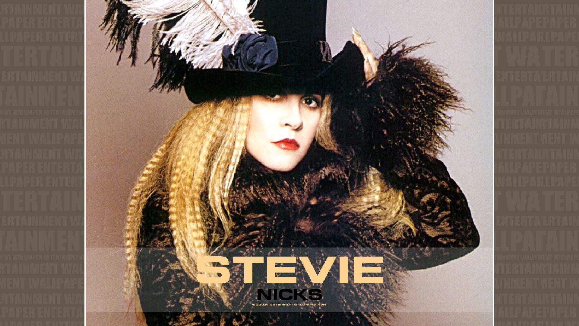 Stevie Nicks Wallpaper   40010200 1920x1080 Desktop Download page