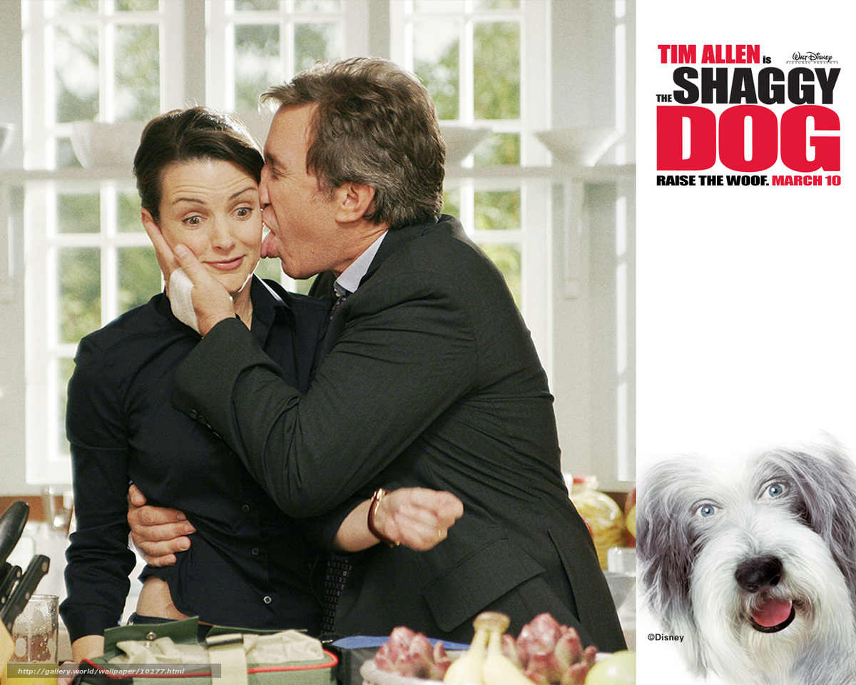 Wallpaper Shaggy Dad The Dog Film Movies