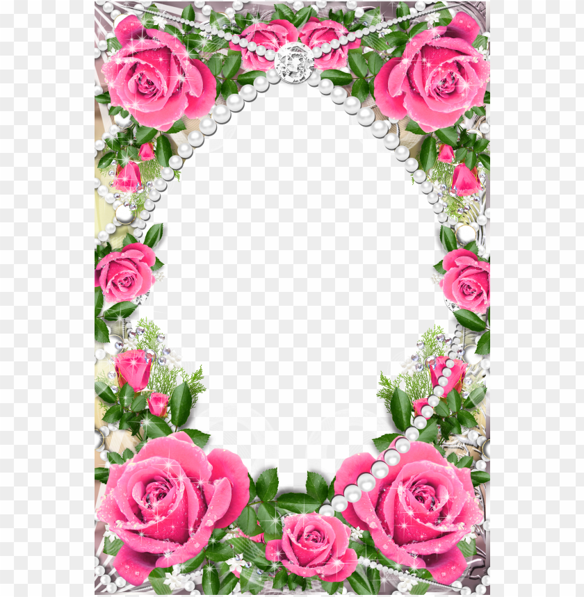 Rose Photo Frame Wallpaper Pink Roses Borders And Frames Png