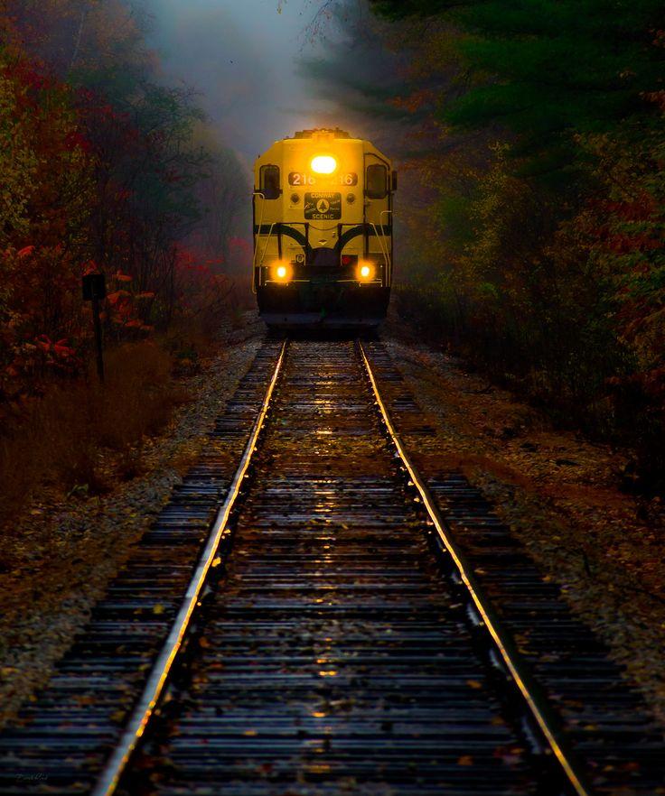 Train In The Rain Nature Photography Scenic Railroads