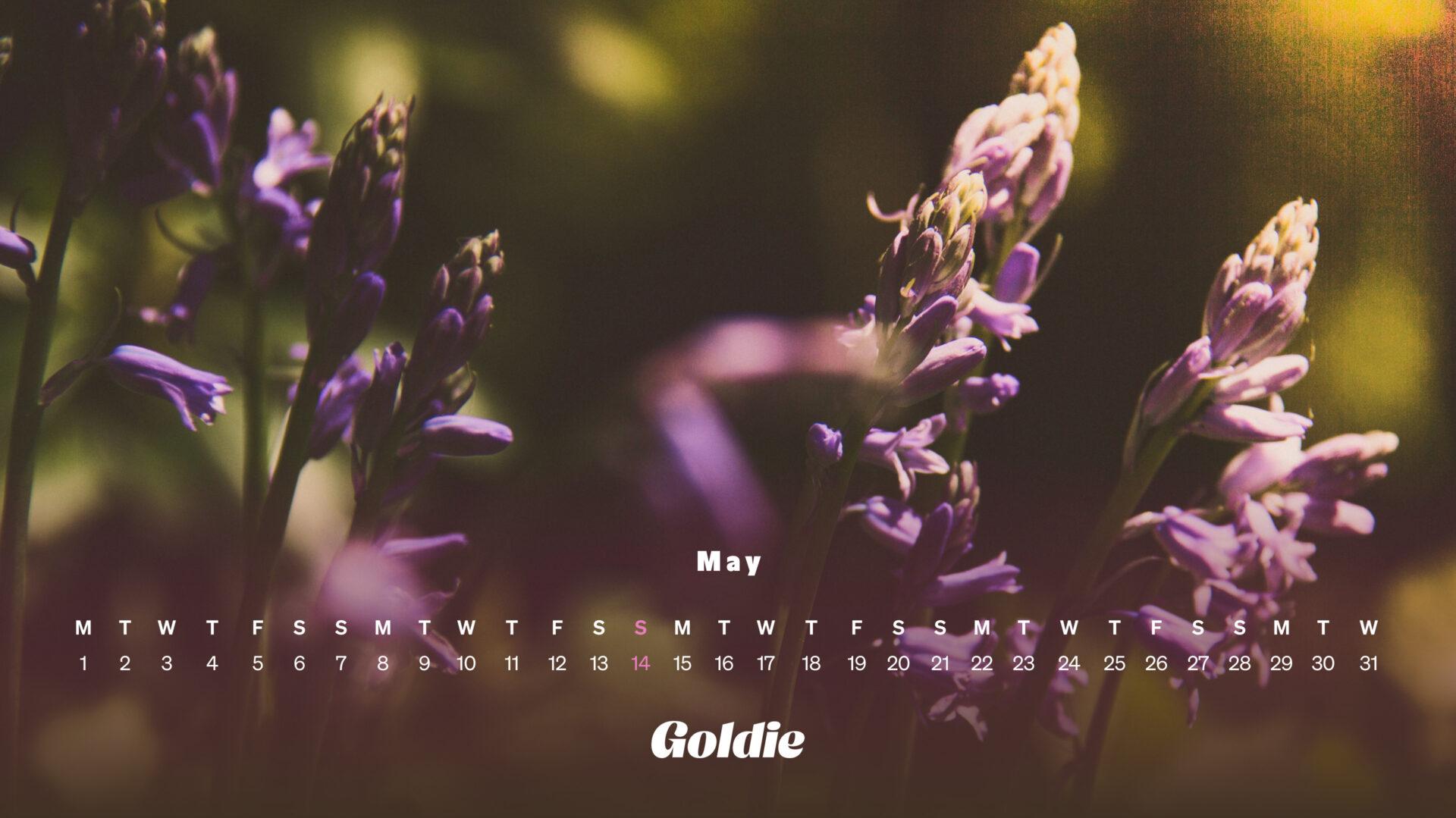 May Calendar Wallpaper Desktop Mobile