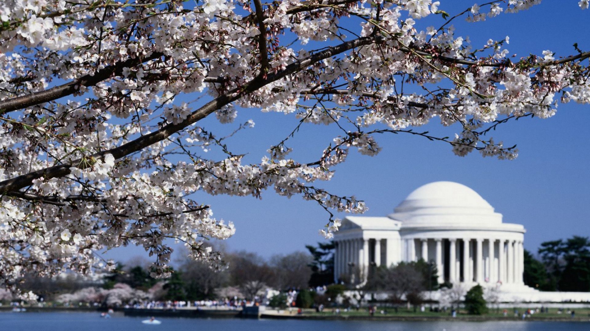 The Thomas Jefferson Memorial Washington Dc