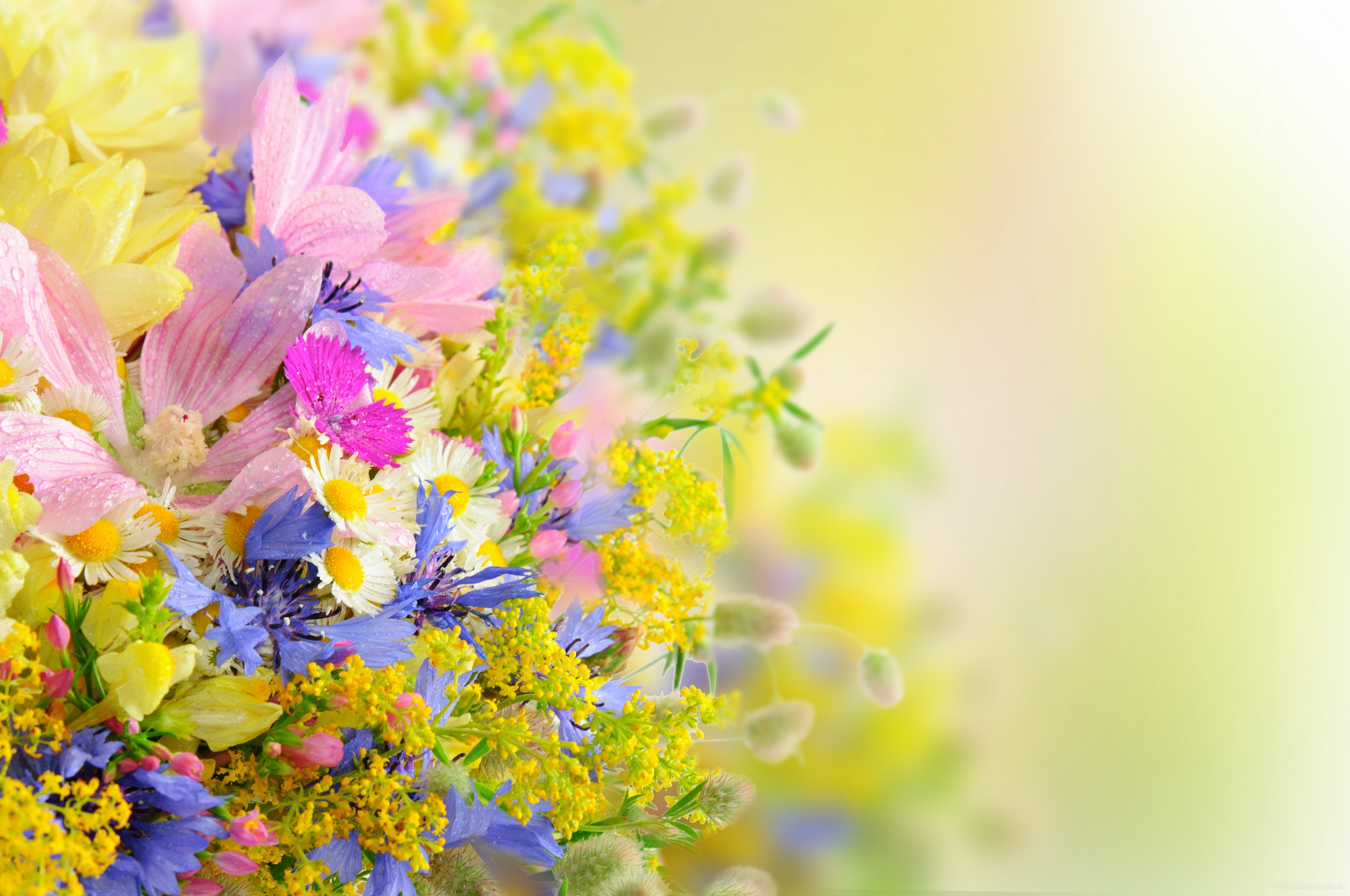 A vibrant bouquet of colorful wildflowers on a soft pastel yellow background