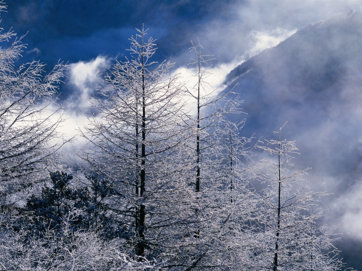 Beautiful Winter Landscapes Wallpaper HD