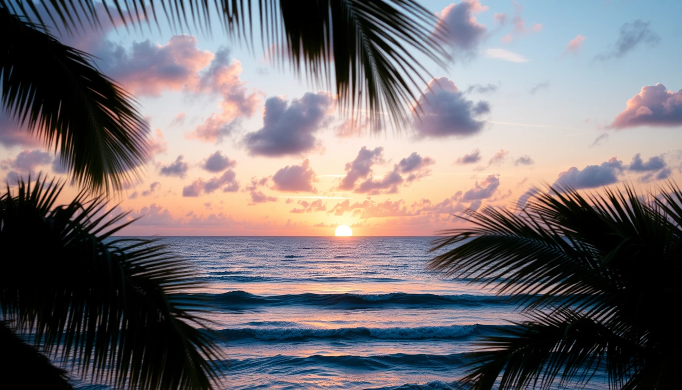 Best Aesthetic Wallpaper