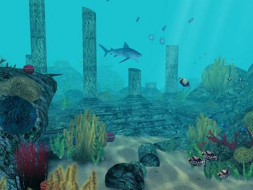 Underwater 3d Aquarium Wallpaper