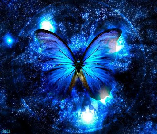 Butterflies Blue Beautiful Lights Bing