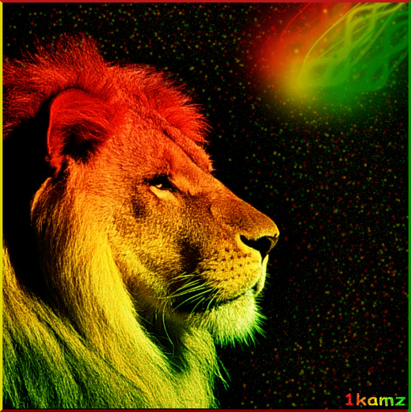 Rasta Lion Wallpaper Colors By 1kamz