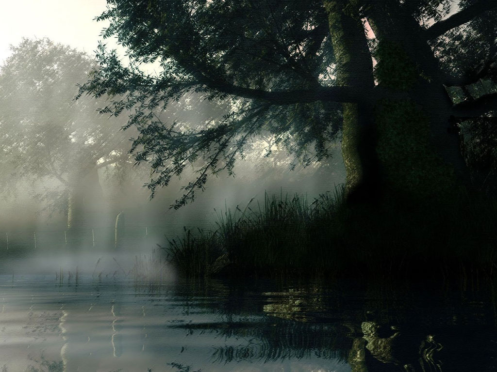 Rain 252bwallpaper 252b F Wallpaper
