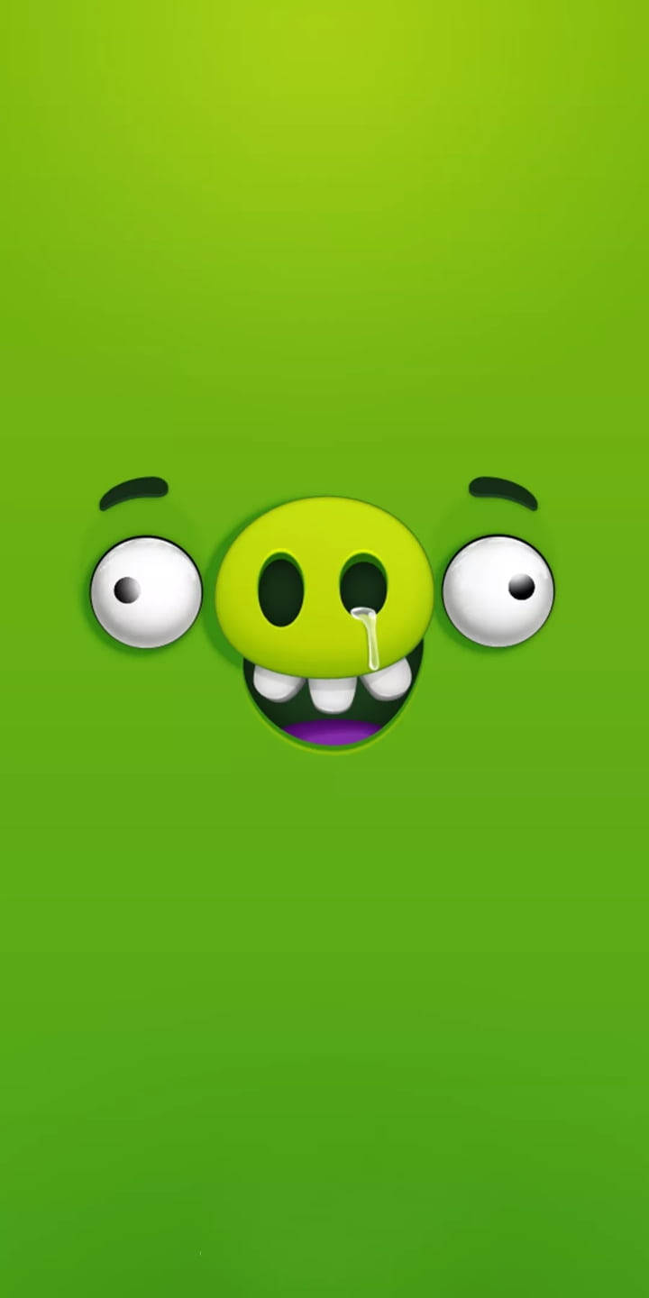 Green Piggy Enemy Ksu6m8orfu5yj80w Wallpaper