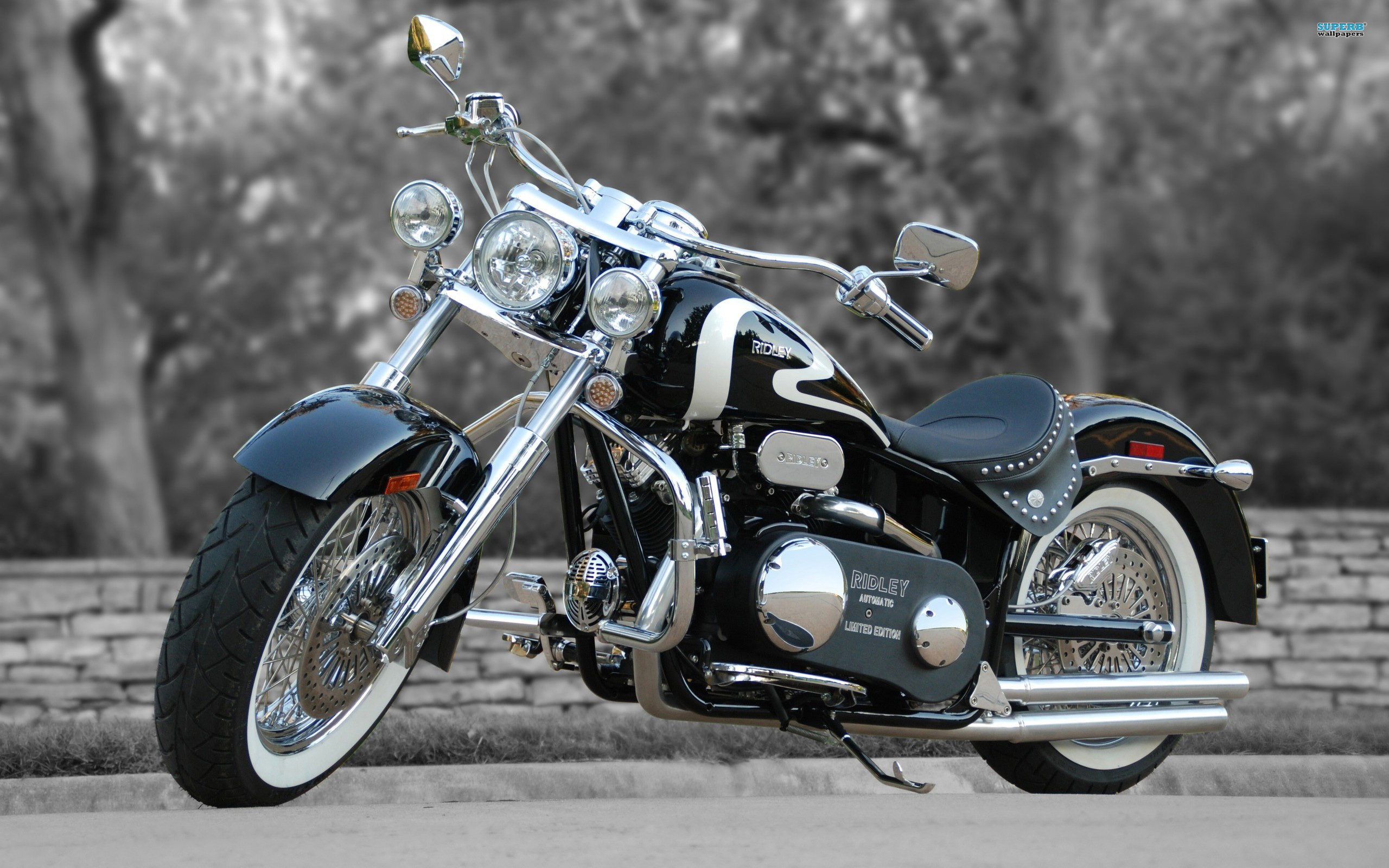 Harley Davidson E Girls Ridley Chopper Motorcycle 897778 25601600