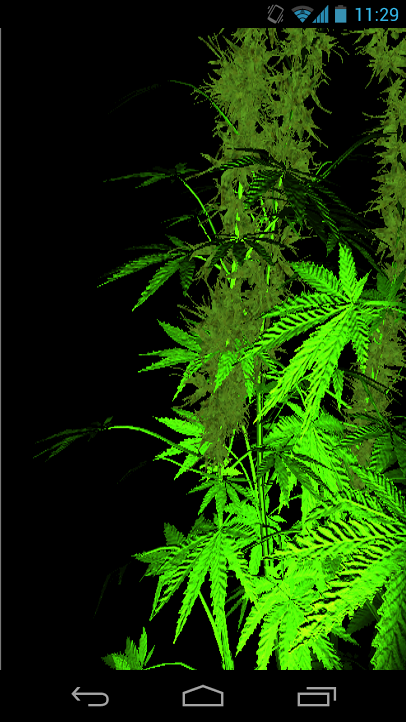 3d Weed Lpw Which Bring Real Realistic Marijuana Bushes Into Your