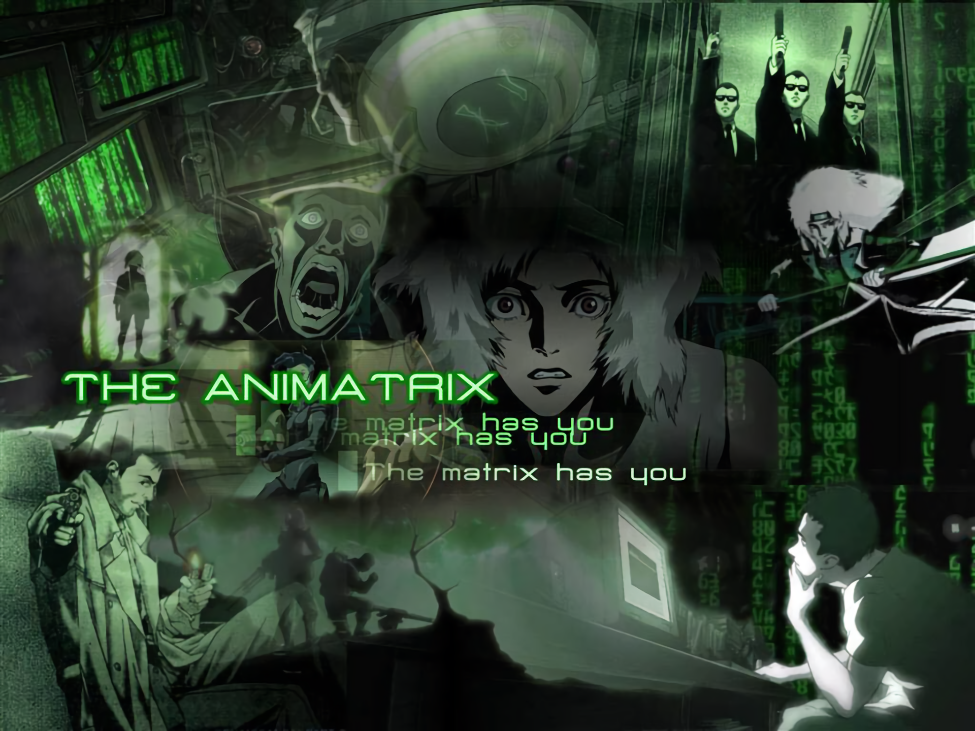 The Animatrix Wallpaper Resolution Id