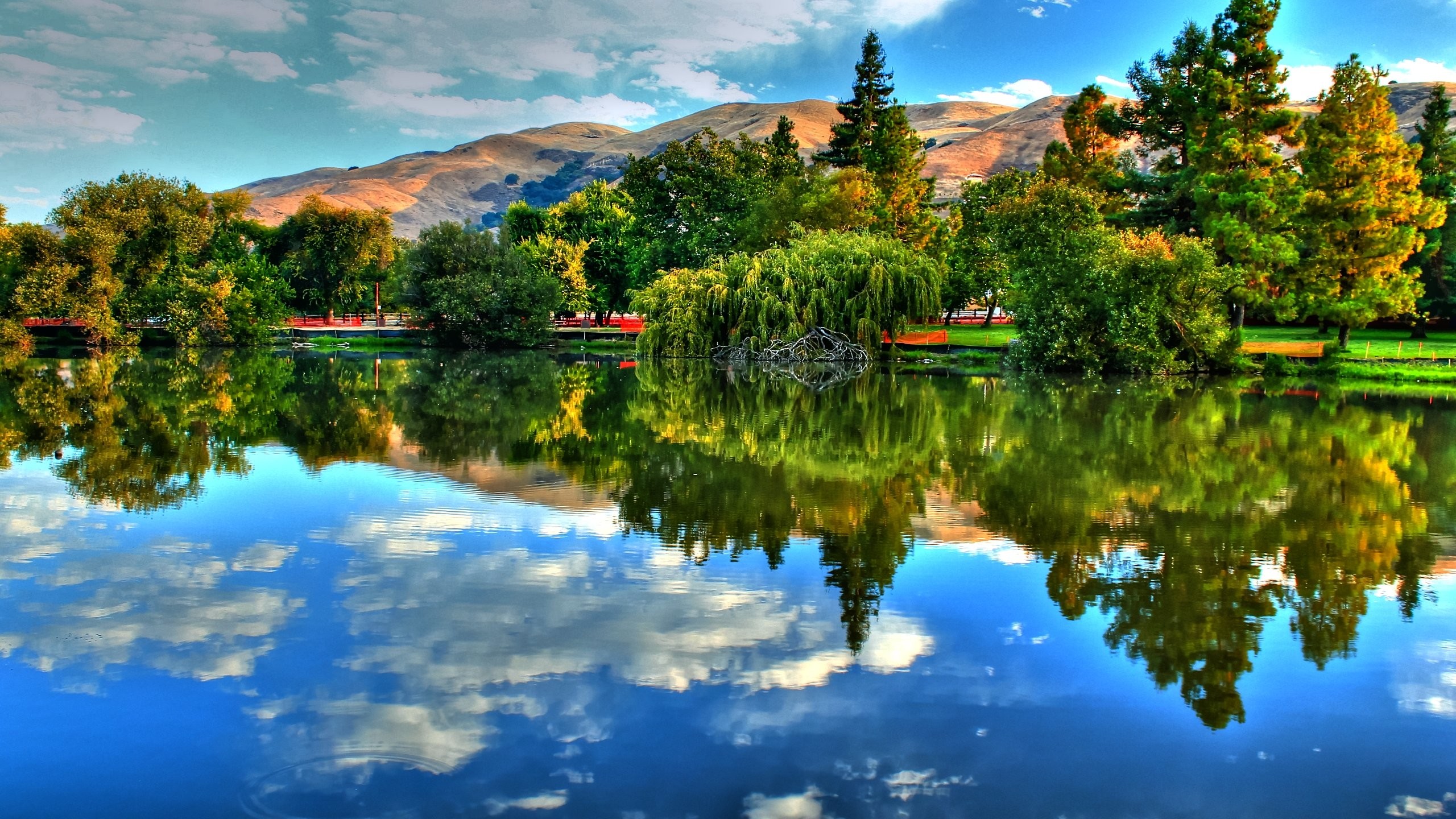 Serene Lake Reflection with Trees and Mountains