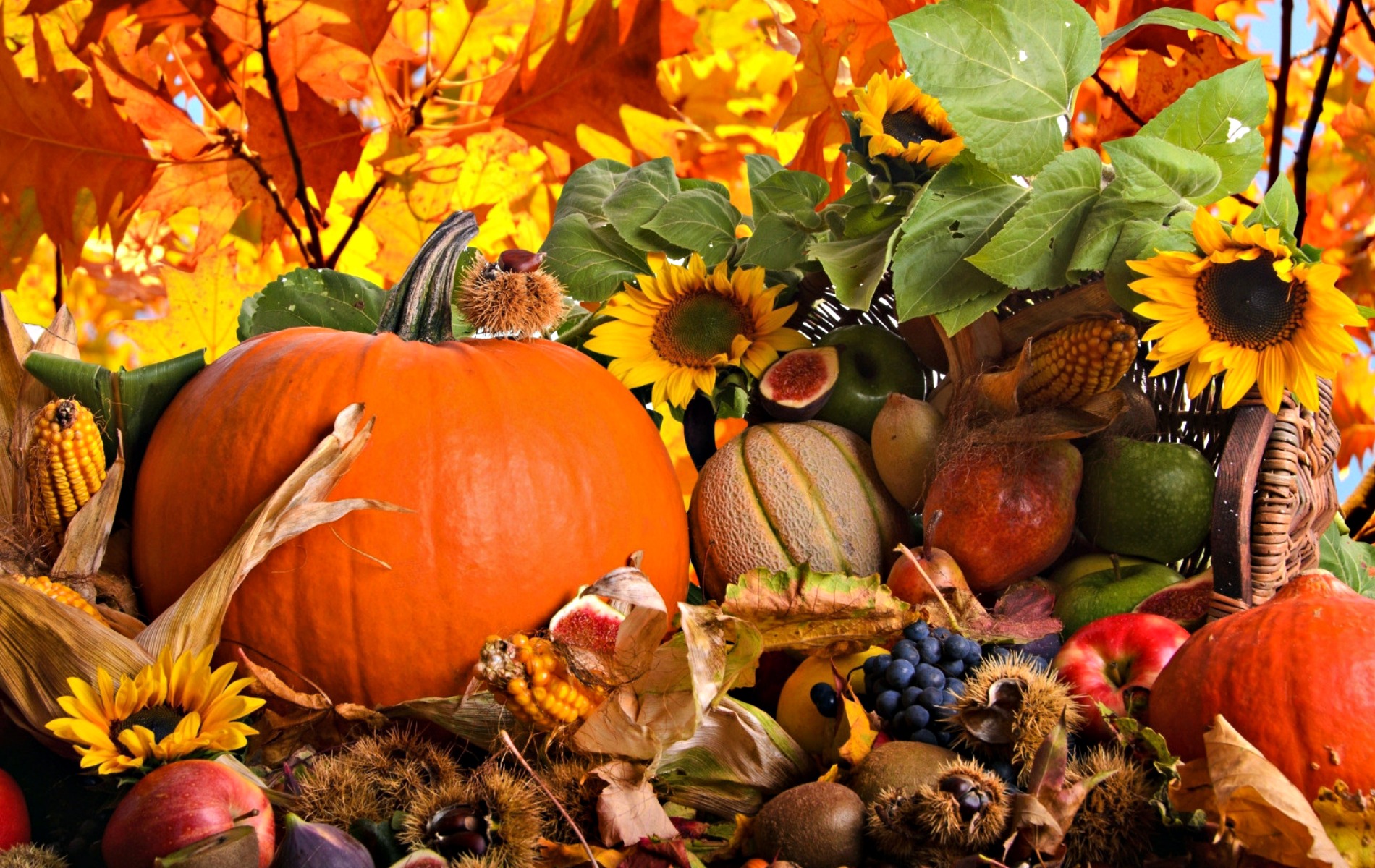 Fall Harvest Background Wallpaper Amazing Wallpaperz