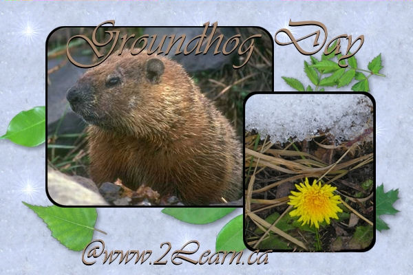 Wele To 2learn Ca S Groundhog Day Resources