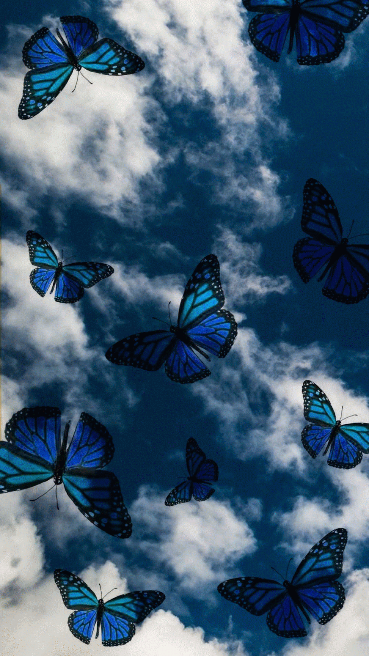 Aesthetic Butterfly Wallpaper iPhone Xr