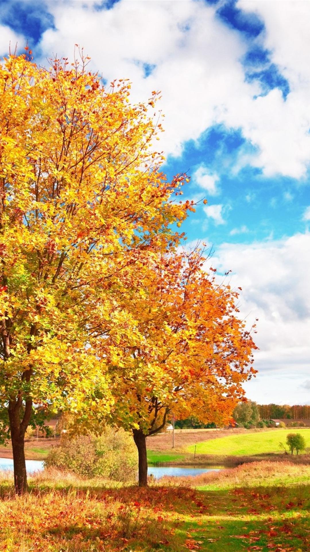 iPhone 6s Autumn Wallpaper On