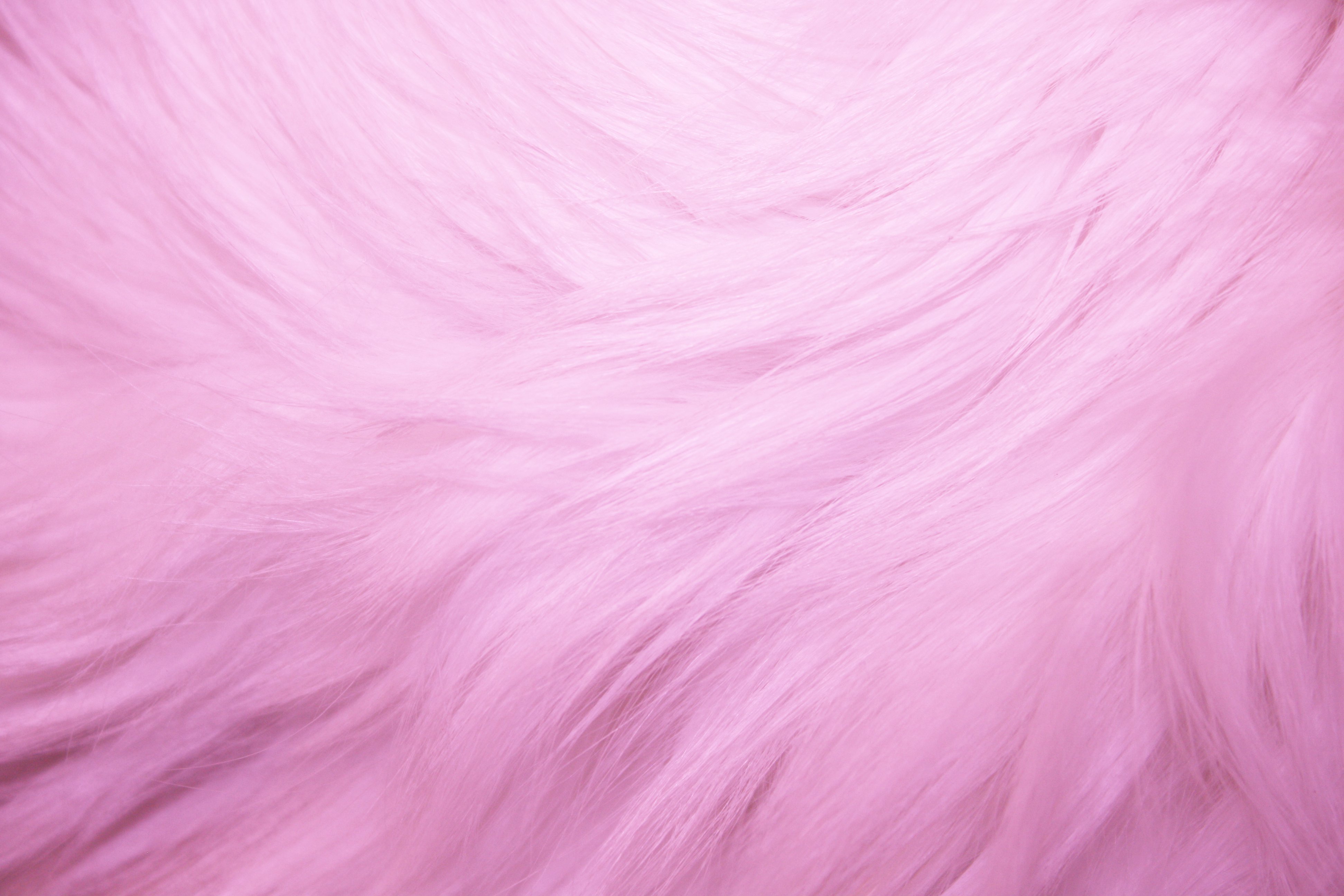 3D Pink Fur 4K wallpaper download