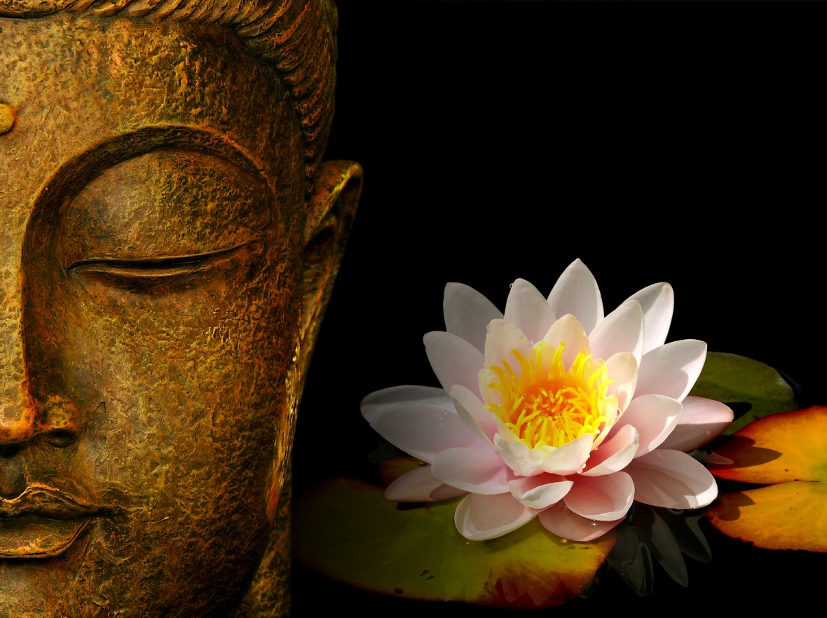 Buddha Wallpaper Photos Pictures H2o Lily Use Your
