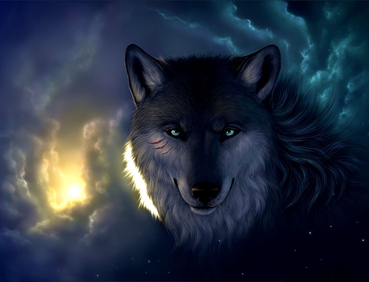 Wolf HD Wallpaper Background