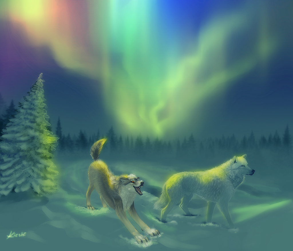 Aurora Borealis Wallpaper Wolf