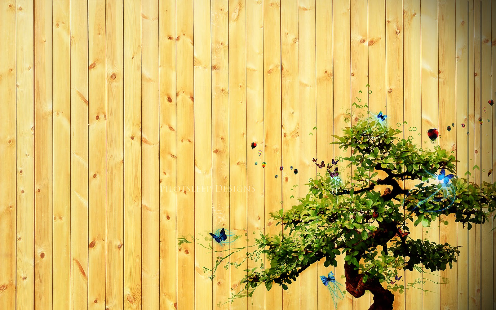Wallpaper Box Bonsai Zen Tree Background HD