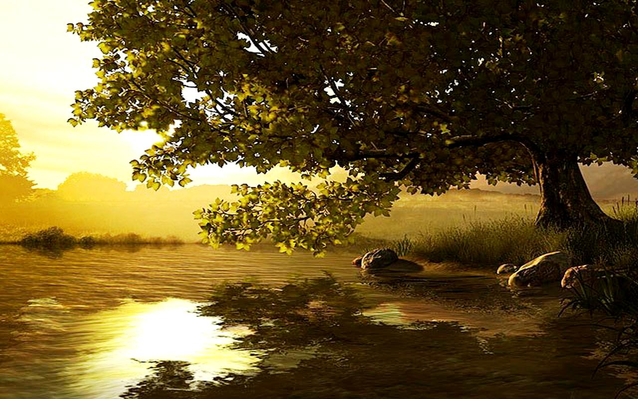 3d Spring Wallpaper Lake Photos Of Selecting The Right